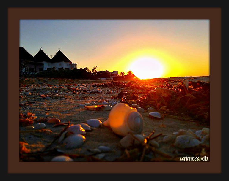 The Sunset from a Seashell's perspective